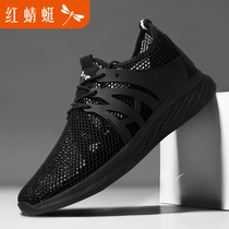 Red Dragonfly Mens Shoes Summer Net Face Shoes Man Breathable Deodorant Sports Casual Shoes Hollowed-out Light Single Mesh Shoes Summer