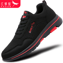 Red Dragonfly Mens Shoes Designer Shoes Sports Casual Shoes Light Netting Shoes Soft Bottom Tourist Shoes Mens Summer Breathable Odor