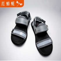 Red Dragonfly Brands Sandals Mens Summer Students Teenagers Anti-Slip Waterproof Deodorant Sports Casual Beach Shoes Softbottom