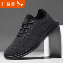 Red Dragonfly Mens Shoes Summer New Breathable Soft-bottom Wool Shoes Aged Dad Soft Bottom Sports Casual Shoes Light