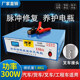Ruixuan Intelligent Pulse Repair Fast Charging