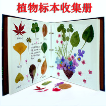 Plant hernion clip collection Book Tree leaf dried flower diy film embossing student making clip tool biological photo album