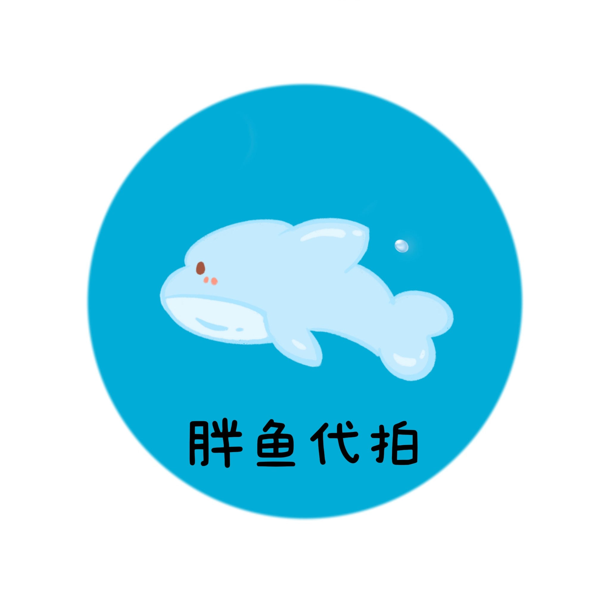 胖鱼代拍的LOGO