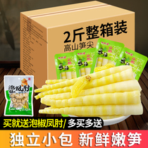 Mountain pepper bamboo shoots pickled bamboo shoots pickled pepper bamboo shoots small package bamboo shoots snacks cheap fresh spicy bamboo shoots sour bamboo shoots crispy bamboo shoots ready-to-eat