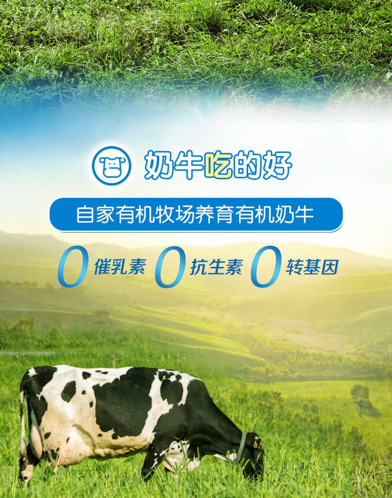 【Arla】丹麦进口高钙成人奶粉800g