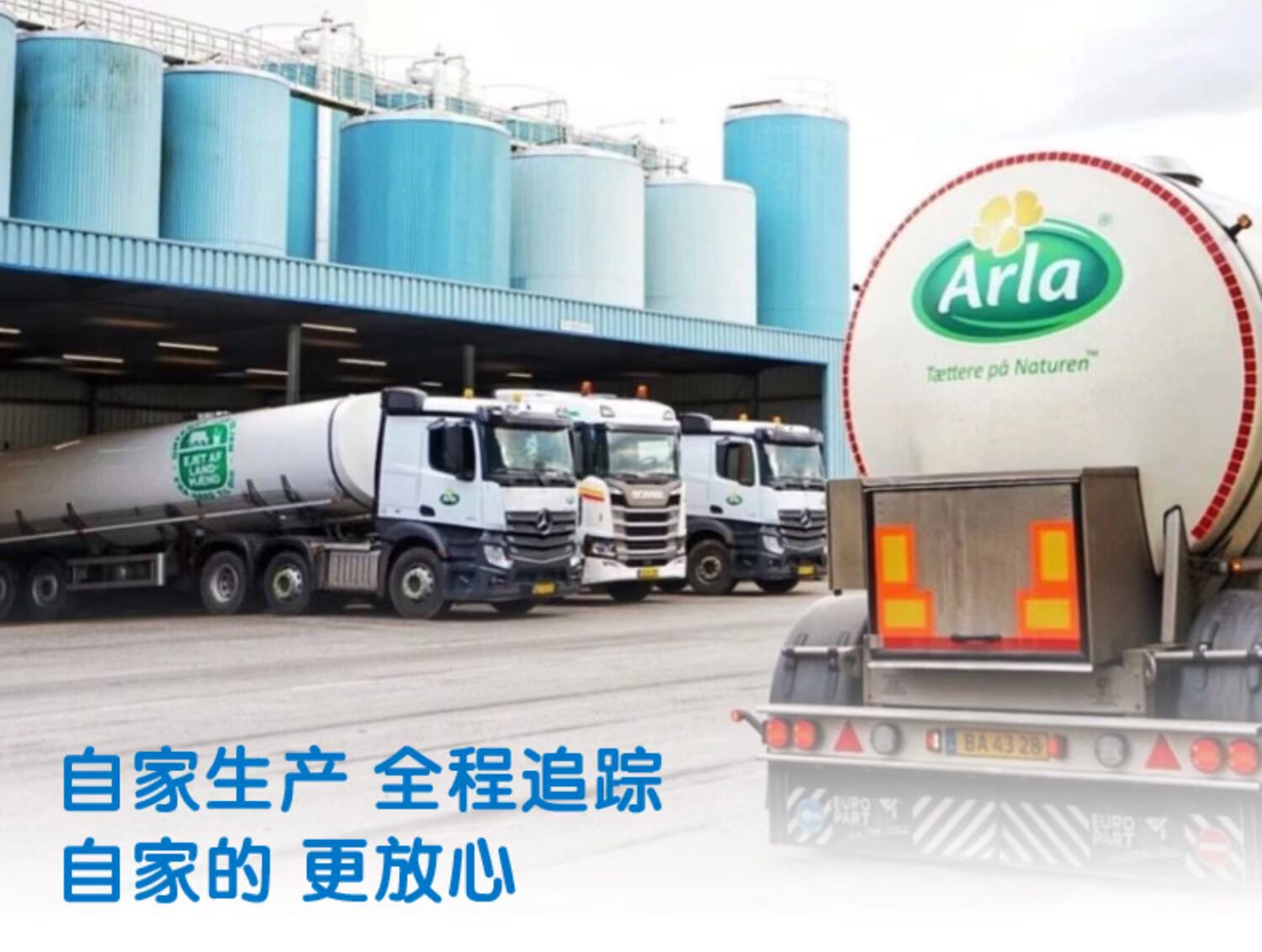 【Arla】丹麦进口高钙成人奶粉800g