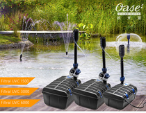 Germany Eurasian Seer fountain filtration integrated Garden Fish pond Pool Courtyard Water circulation purification Water quality oxygenation landscaping