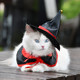 Geezer Cat Clothes Halloween Hat Ghost Festival Cloak Pet Transformation Hat Autumn and Winter Funny Festival Set