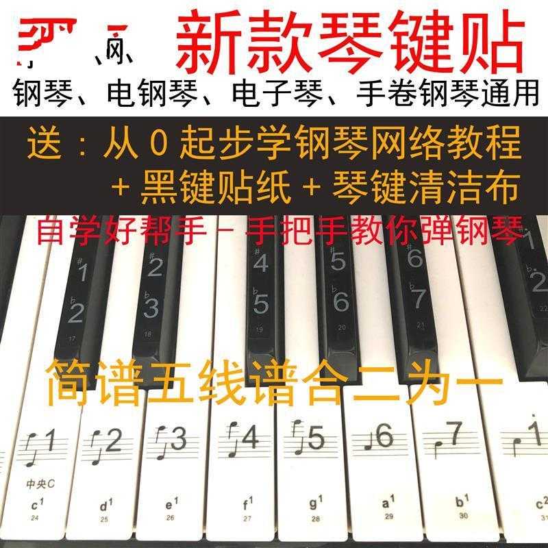 Electronic organ keyboard sound label 61 Key beginners Mountain leaf Five-line Genealogy Key Substicker Piano key 88