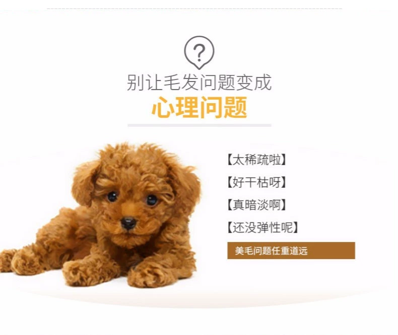 Chó con điên bơ thức ăn cho chó Teddy gấu Xiong Bomei chó nhỏ chó con chó trưởng thành lông chó chung loại 3 kg - Chó Staples