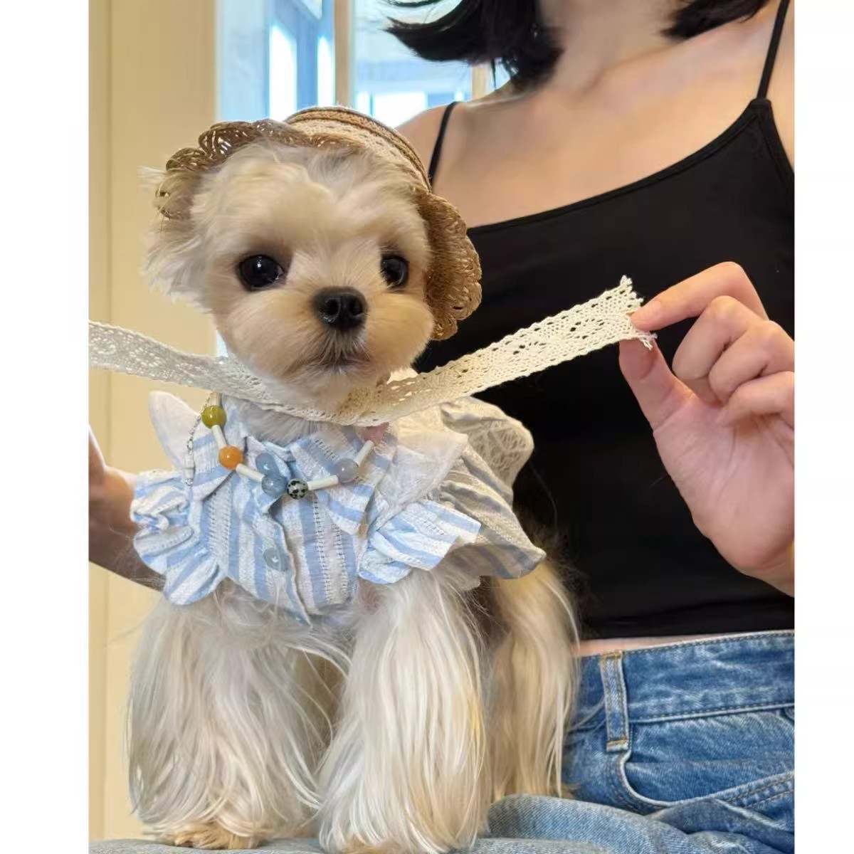 意大利Poldo Ben夏季宠物小狗狗衣服小型犬约克夏花边衣服裙子薄
