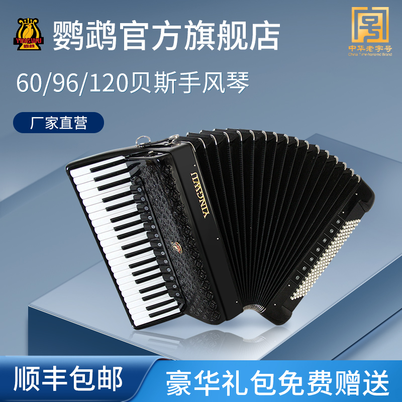 Parrot accordion 60 96 120 bass three or four rows of spring beginner children adult exam professional playing instrument