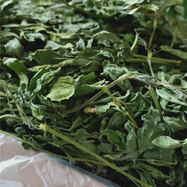 Stubble Drying Purple Flowers Clover Clover Grass Rabbit Grass Rabbit Grain Rabbit Feed Dry Grass Gross 1 1000gr