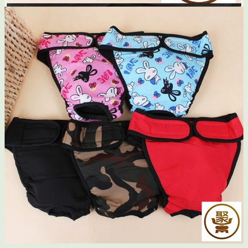 Моча мочи домашних собак без влажных брюк под нижнее белье.