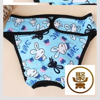Sky Blue Rabbit-267-58Y