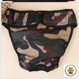 Моча мочи домашних собак без влажных брюк под нижнее белье.