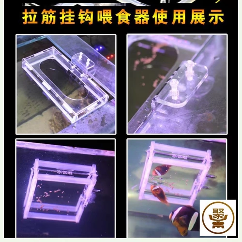 Артефактное кормление рыб, акриловая кормушка с кольцом для кормления, плавающее прозрачное кольцо для кормления, подвесная большая кормушка