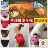 Физиологические маленькие специальные мужские собачьи таблетки мочи, брюки, брюки, физиологическая моча, подгузники с влажными брюками