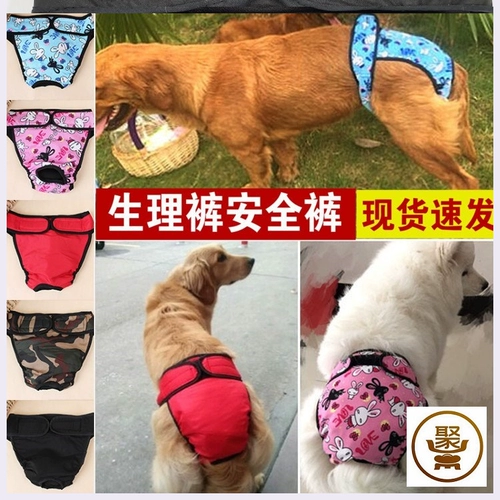 Физиологические маленькие специальные мужские собачьи таблетки мочи, брюки, брюки, физиологическая моча, подгузники с влажными брюками