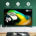 Xiaomi / Xiaomi TV 4A 65 inch 4K mạng cực thông minh wifi màn hình phẳng TV 70 siêu mỏng - TV