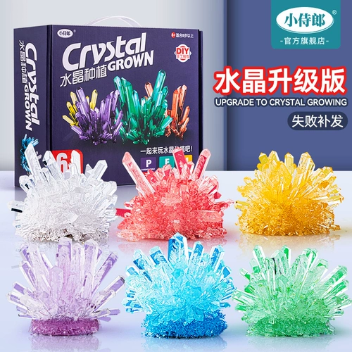 Игрушка для выращивания растений для экспериментов для школьников для детского сада, «сделай сам», наука