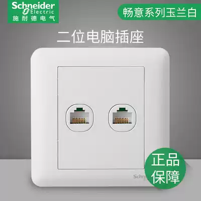 Schneider switch socket Changyi white two-digit computer socket