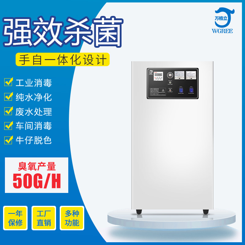 Industrial water treatment 50G ozone generator pool water disinfection GMP clean workshop sterilization ozone machine purification equipment