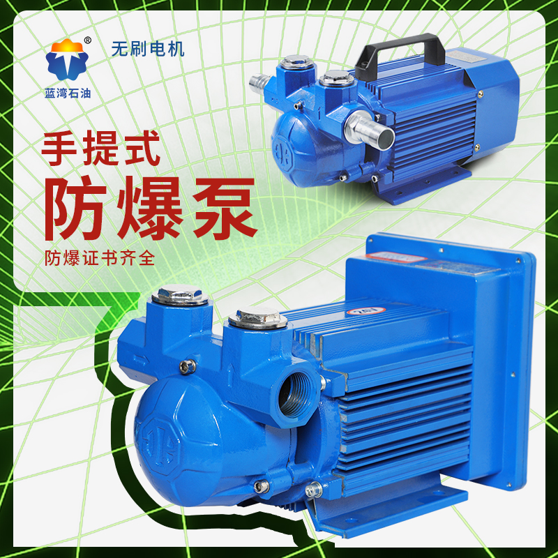 Electric oil pump large-flow anti-explosion self-suction oil pump mute pump brushless motor explosion-proof petrol pump 12V24V220V