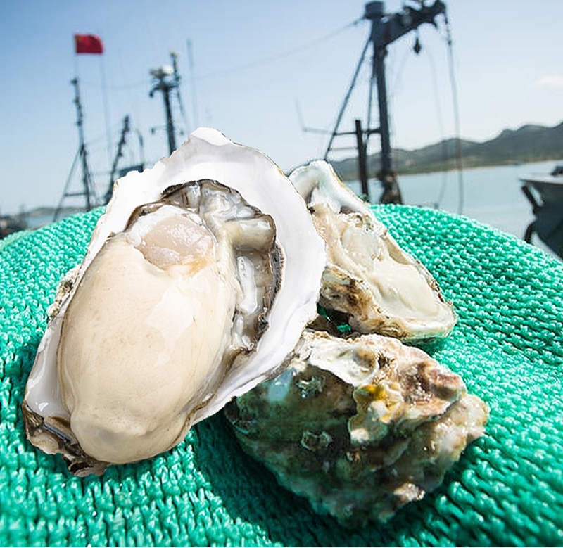 男人的加油站 航海日记 乳山新鲜生蚝牡蛎 5斤 图3