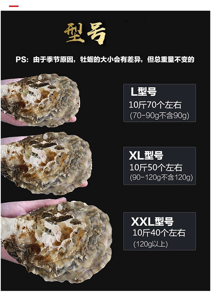 男人的加油站 航海日记 乳山新鲜生蚝牡蛎 5斤 图6