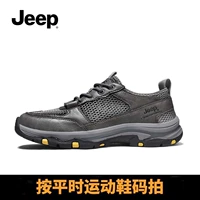 Серый B221591208