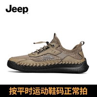 Песочный цвет B321591285