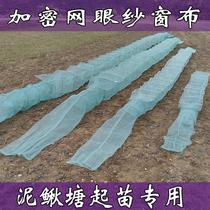 Dense Eye Lobster Nets Crucian Carp Sashimi Shrimp Rice Trap Cage Cage Breeding Fish Nets Mud Loach Gauze Yellow Eel Little River Cage