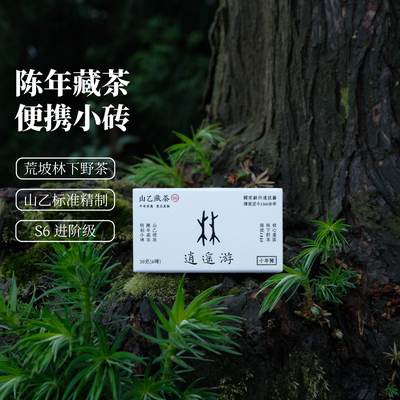 Xiaoyao You Aged Tea for 10 years, Ya 'an Mountain Yi Zang Tea, Special bud Fine Black Tea, portable small Tea brick S6 grade