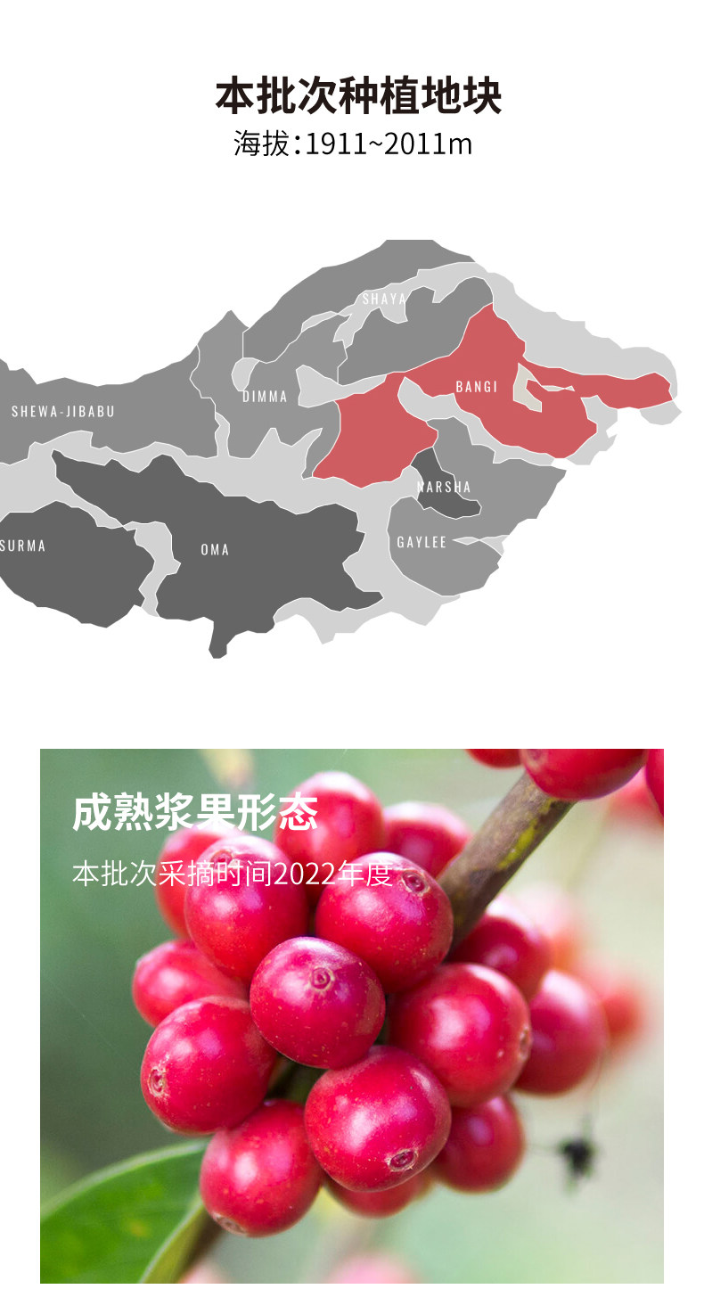 Подробная информация о Ruixia Village_04.jpg