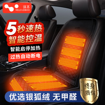 Car heating cushion Winter car seat cushion General 12V car cushion electropholized fluffy double seat with 24V seat cushion