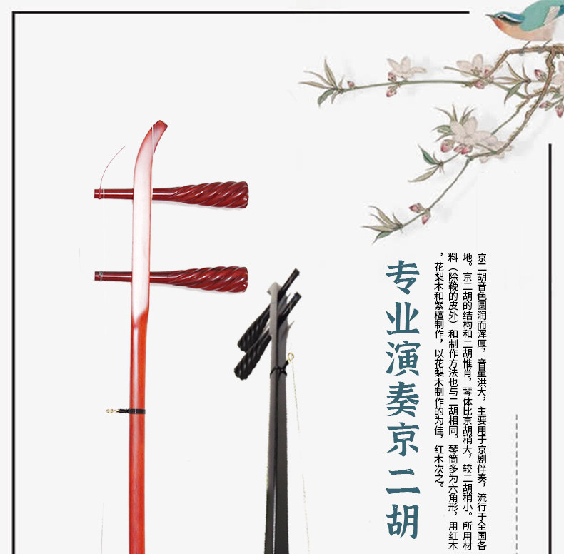 Киоко Эрху стиль _01.jpg