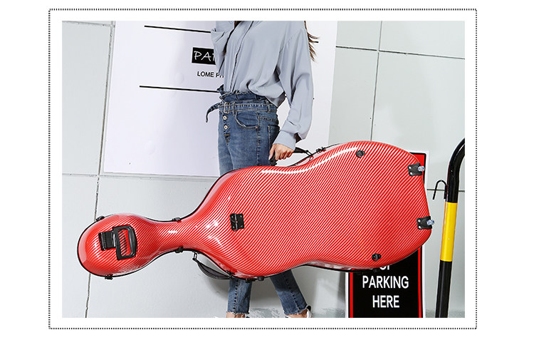 Коробка для виолончели-750_17.jpg