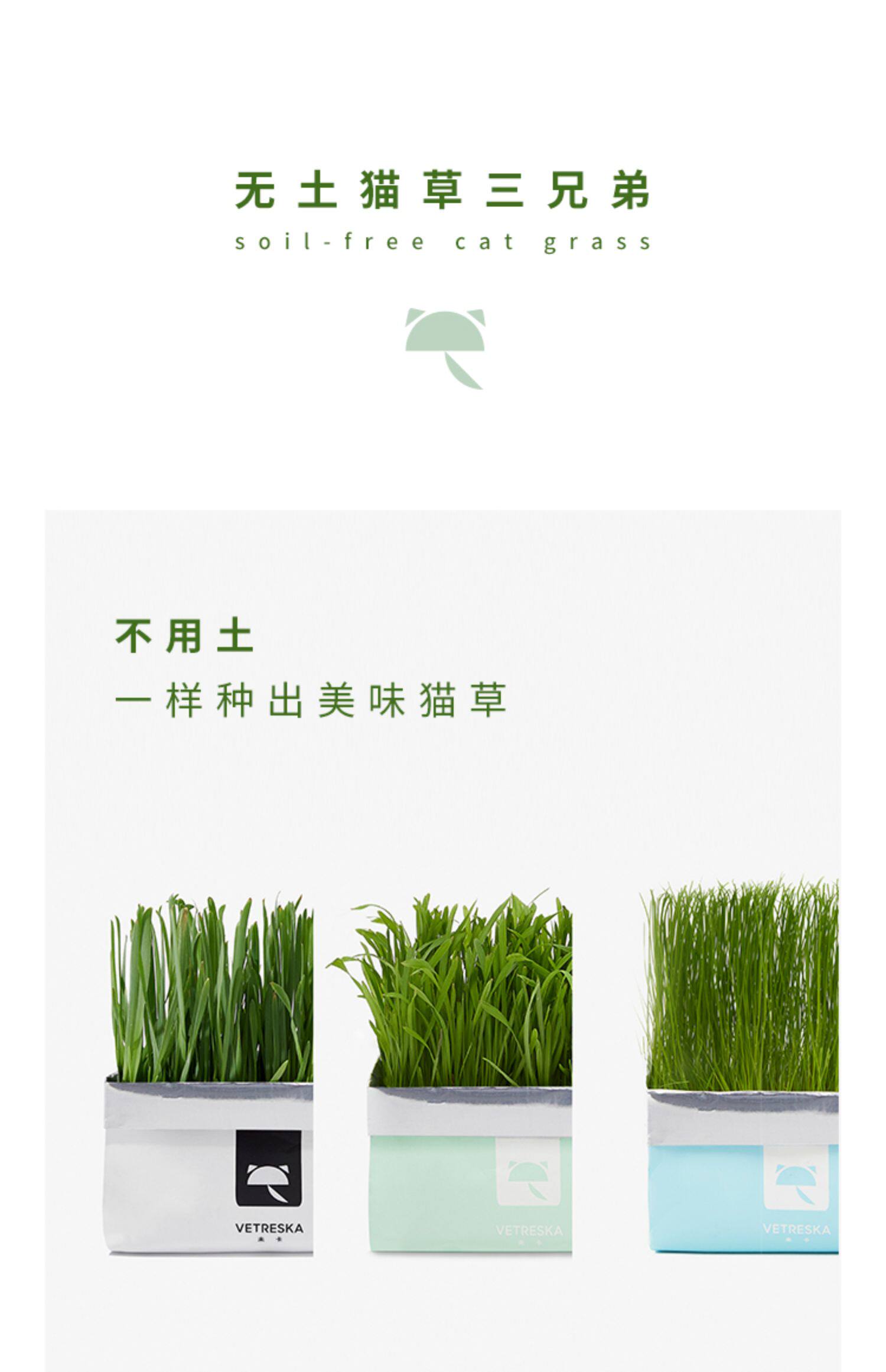 未卡无土有机猫草 3包装28 8元 淘泊网 四海之内皆优惠