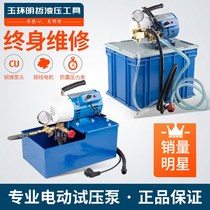 DSY-25 60 portable electric pressure test pump PPR water pipe pressure test machine Double cylinder pressure pump pressure machine