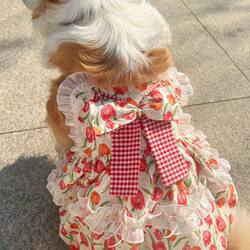 Pet Spring and Summer Vintage Lace Skirt Vest-Style Clothing for Medium and Large Dogs, Princess Style, for Dogs and Cats, Samoyed, Golden Retriever