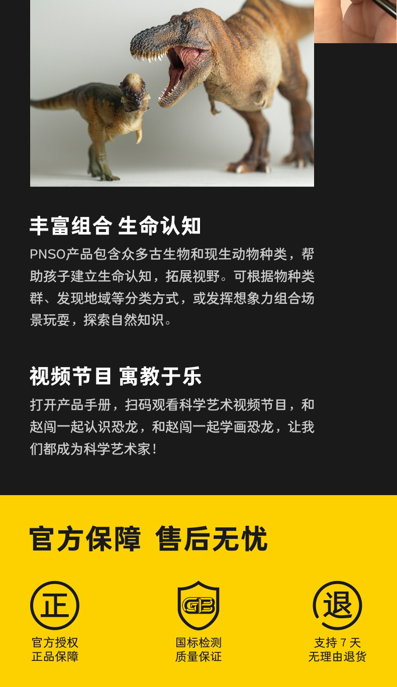 Игрушки-животные pnso马门溪龙尔玛恐龙博物馆1比45科学艺术模型