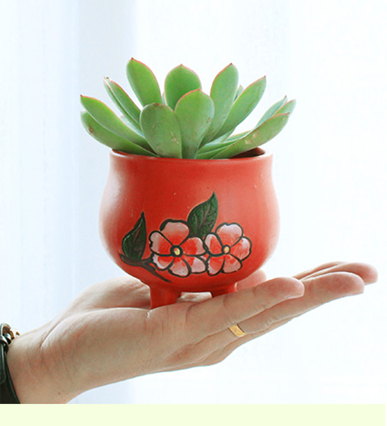 Fleshy flower - pot ceramic biscuit firing TaoHua implement creative mini indoor other Chinese wind restoring ancient ways is hand - made of flowerpot