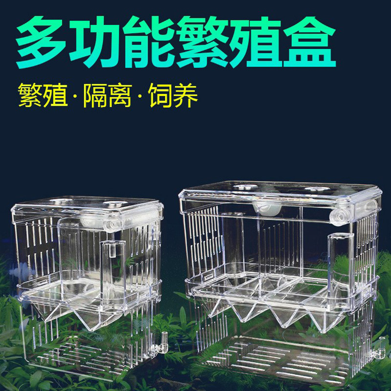 Fish Tank Separator Separating Plate Transparent Box Mesh Fish Fish Supplies Hatching Box Breeding Cutout Box Small Fish Isolation Net