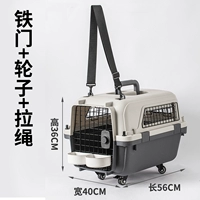 Тип B — кошка 17 фунтов — шнурок + колесо + железное окно | собака 15 фунтов