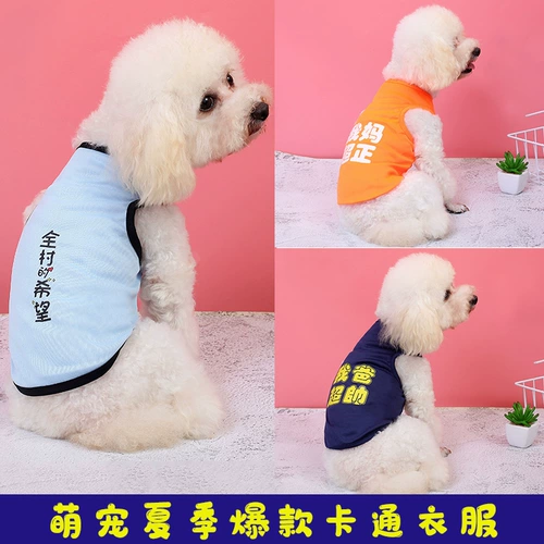 Летняя тонкая летняя одежда, жилет, шнурок-держатель, популярно в интернете