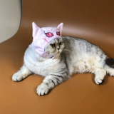 Обложка котенка Killer's Kide