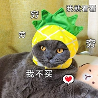 Маленький набор головок ананаса