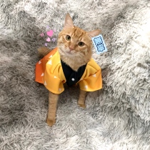 Ghost killing blade pet supplies spring and summer cat clothes ghost killing team my wife good escape kimono feather weaving your bean bathrobe
