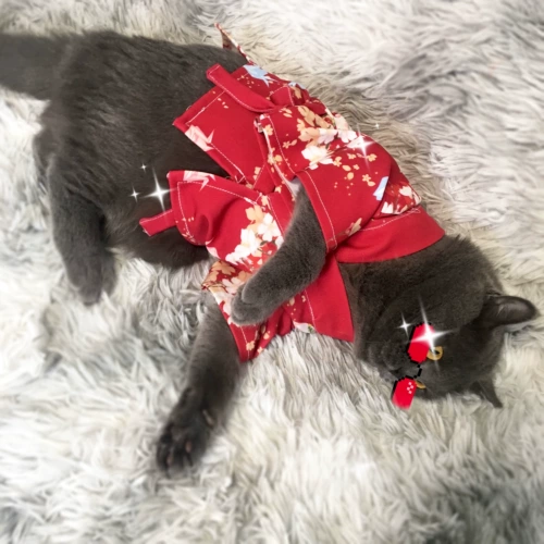 Японская летняя шифоновая куртка, банный халат, семейный стиль, набивка пером